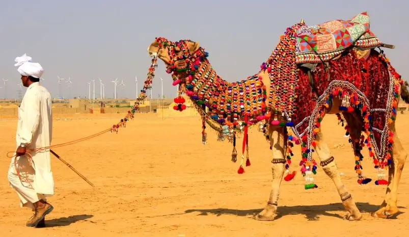 Rajasthan in February
